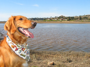 Tiki Hiking